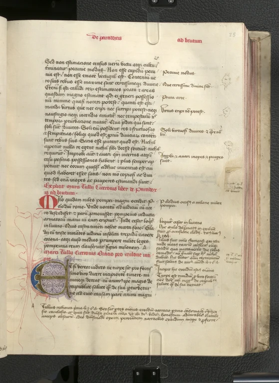 ULB Bonn, S 140, 25 r