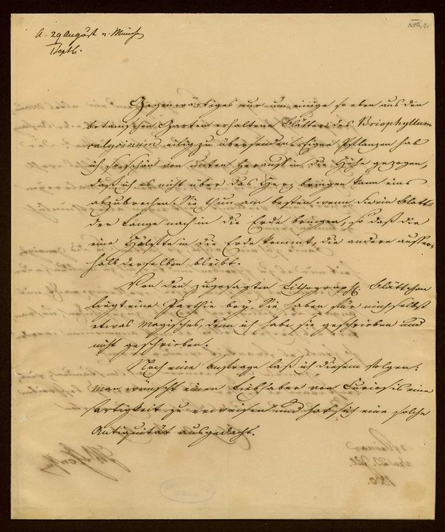 Brief Goethes an Boisserée