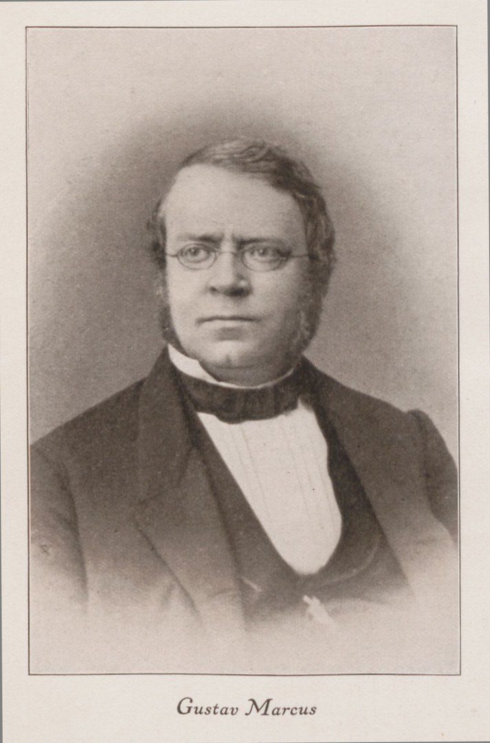Gustav Marcus